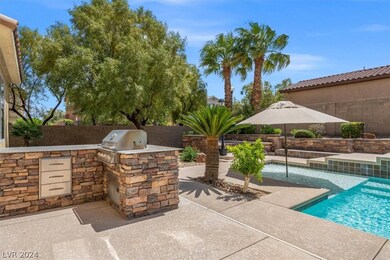 Wet deck area with outdoor built in kitchen