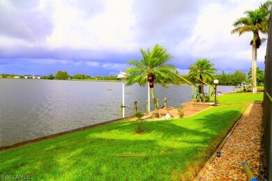 back yard view