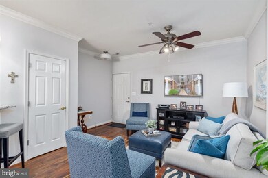 502 Mathias Hammond Way unit 101, Annapolis, MD 21401 - photo 4