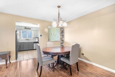 11045 S Theresa Cir unit 2B, Palos Hills, IL 60465 - photo 3