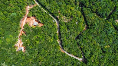 4.69 AC Rockwater Rd, Cherry Log, GA 30522 - photo 5