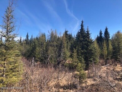 66384 Markoka Ave, Anchor Point, AK 99556 - photo 3