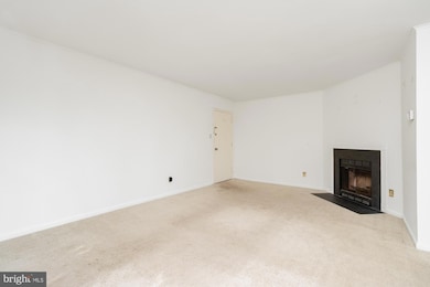 101 Fitz Ct unit 202, Reisterstown, MD 21136 - photo 6