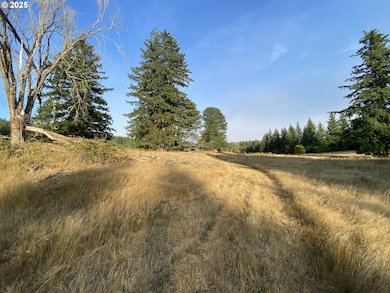 23801 NE Muncton Dr, Yacolt, WA 98675 - photo 4