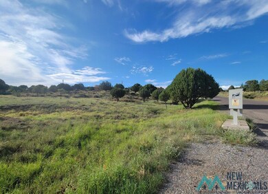 XX Copper Ridge Dr, Silver City, NM 88061 - photo 5