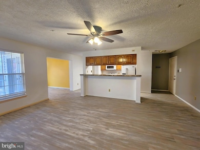 13 Locust Path Ct, Nottingham, MD 21236 - photo 4