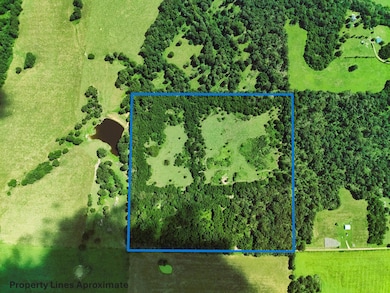 With Property Lines 2