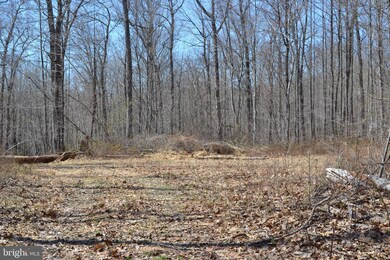 16418 Cedar Grove, Sparks, MD 21152 - photo 3