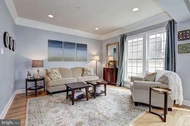 14208 Drayton Ave, Silver Spring, MD 20904 - photo 5