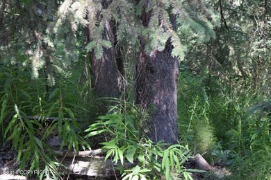 Trees