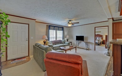 4245 Tennessee 68, Turtletown, TN 37391 - photo 3