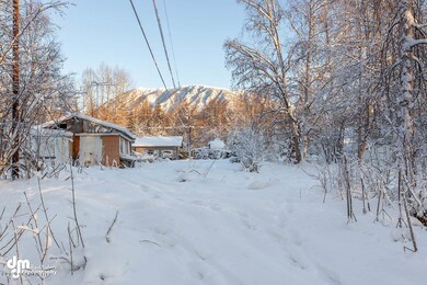 Vacant Lot Exteriors-ELKO3245-SMALL