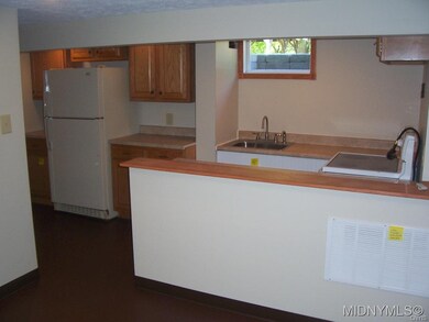 Basement Summer Kitchen