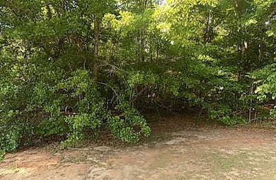 LOT VIEW