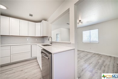 4203 Lower Troy Rd, Temple, TX 76501 - photo 6