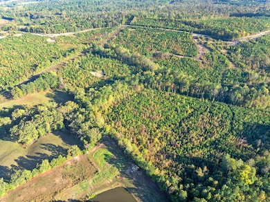 0 Tucker Rd, Bath Springs, TN 38311 - photo 5