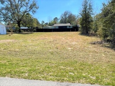 TBD SW 81st Ln, Dunnellon, FL 34431 - photo 3