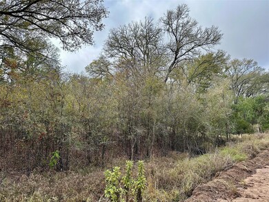 104 E Waiehu Ln, Bastrop, TX 78602 - photo 4