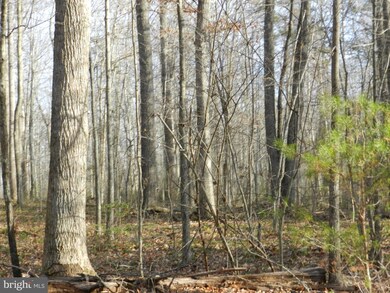 3 Hart Ct, Culpeper, VA 22701 - photo 5