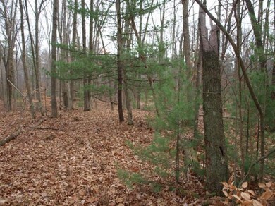 0 N Centerline Rd unit 13065638, White Cloud, MI 49349 - photo 2