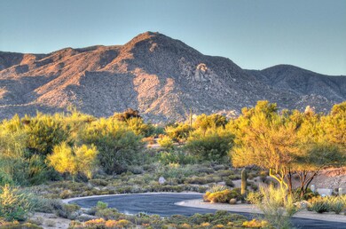 38801 N 107th Way Lot 21-print-015-13-th
