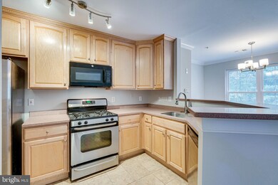 4514 Superior Square unit 4514, Fairfax, VA 22033 - photo 7