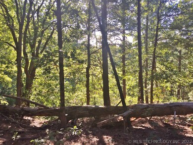 0 N 593 Rd unit 2036395, Tahlequah, OK 74464 - photo 6