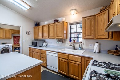 248 Road 3950, Farmington, NM 87401 - photo 5