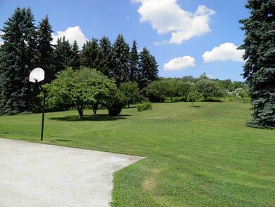 Yard/Garden. Beautiful land with fruit trees surro