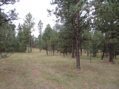 TBD Lot 34B Hombre Trail unit TBD Lot 34B, Crazy Horse, SD 57730 - photo 7