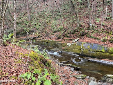 IMG_8707_1762715391986