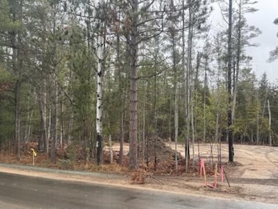 V/L L71-75 Evergreen Dr, Grayling Township, MI 49738 - photo 4