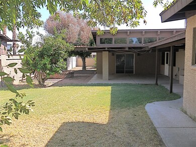 BACKYARD 2
