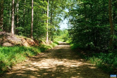 TBD Cub Creek Rd, Massies Mill, VA 22967 - photo 6