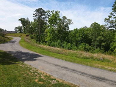 LOT 108 High River, Ellijay, GA 30540 - photo 6