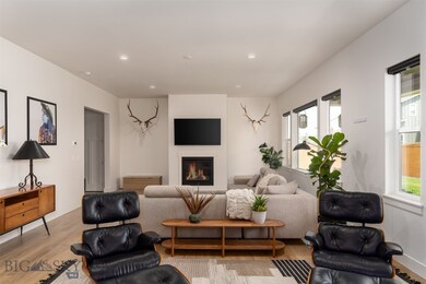 Gas fireplace