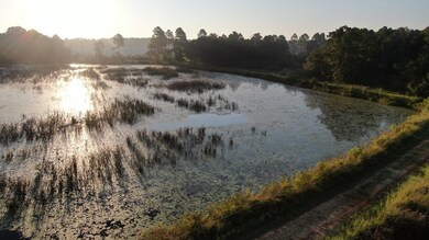 3665 Turman Rd, Edison, GA 39846 - photo 6