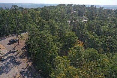 0 Pine Ridge Ln unit RTC2446158, Sugar Tree, TN 38380 - photo 3