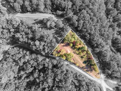 Lot 64 Lyle Mountain Trail, Franklin, NC 28734 - photo 7