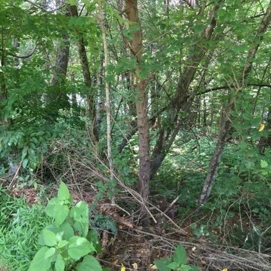 View of lot down to lake