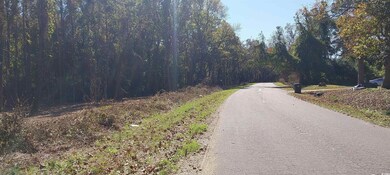 0 Millers Rd, Mullins, SC 29574 - photo 5