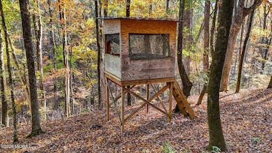 1774 Maynards Mill Rd, Forsyth, GA 31029 - photo 7