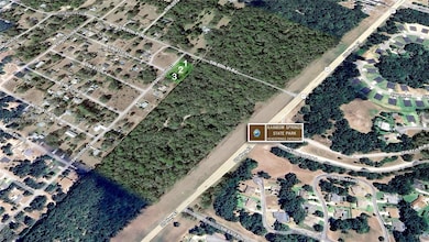 undetermined SW 200th Ct, Dunnellon, FL 34431 - photo 2