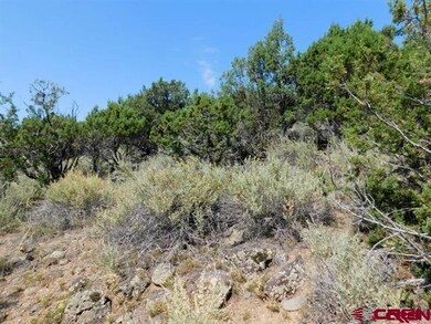 240 SE Flintlock Ct, Cedaredge, CO 81413 - photo 4