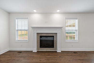 1247 Iris Glen Dr, Clarksville, TN 37042 - photo 7