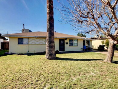 Front yard 2