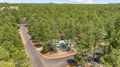 651 S 25th Ave, Show Low, AZ 85901 - photo 5