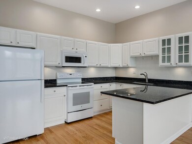 722 S Oakley Blvd unit 3, Chicago, IL 60612 - photo 6