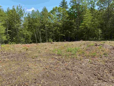 29 High Meadow Rd, Moultonborough, NH 03254 - photo 5