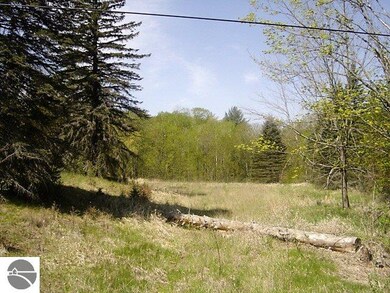 3413 Pine St, Hale, MI 48739 - photo 2